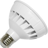 LED PAR